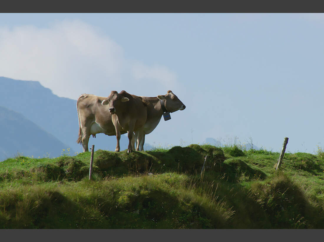 OD-2013-Die-Alpen7 (jpg)